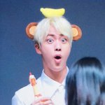 [방탄소년단] 닭이랑 원숭이가 만나면..?