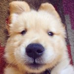 [댓글부탁해] <b>GS</b>편의점 뭐가 맛있어??