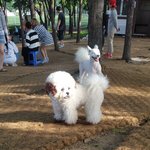 [EXO] 오늘 개놀이터갔었는데