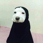 [ㅋㅋㅋㅋㅋ] 아 나 <b>짝눈</b>인데