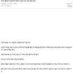메갈의 효과.ㅈㅍㅈ
