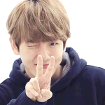 [EXO] 아니조카진심으로궁금해서그런데