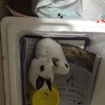 [토끼판] 어서와요 토끼판은 처음이죠?