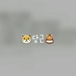 [세븐틴] 이거 일코한거 맞지?