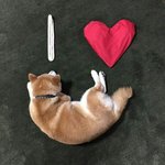 챈스챈스 헤어밴드 <b>사본</b> 사람