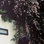 [드루와] <b>여름냄새</b>랑 겨울<b>냄새</b>랑 다른거 앎?