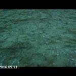 [방탄소년단] 셉미 <b>청춘</b>의갈등 맞는거같은데