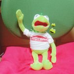 [댓글부탁해] 판녀들 도와줘ㅠㅠ