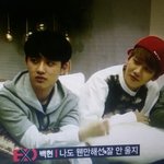 [EXO] 쇼타임은 백도꺼였지