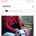 [방탈죄송] 강아지<b>무료</b>드림