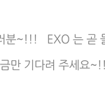 [EXO] <b>스</b><b>엠</b>이 이렇게 자신만만한적이 있었냐고ㅋㅋㅋㅋ