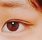 [댓글부탁해] 야 얘<b>눈</b> 개이뻐.. 너네는 어떤<b>눈</b> 워너비?