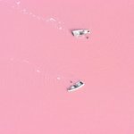 [드루와] <b>바라</b> vs 바래!!!!