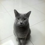 [인피니트] 근데 별이 <b>수컷</b>이었음?