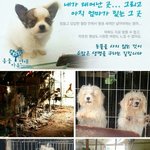 [EXO] 얘들아 간단해 금방끝나