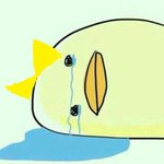 [댓글부탁해] 담임이 학생한테 이래도 되는거임?;;