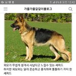 [세븐틴] 민규 <b>대형</b>견같잖아 