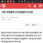 [EXO] 시발 ㅋㅋㅋㅋㅋㅋㅋㅋ 내가쓴글 볼라고 곱등이 <b>서치</b>했다가