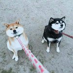 성이 김인데 이름 진짜 <b>특이</b> 할순없나..?