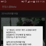 [세븐틴] 팬덤<b>학교</b> 투표해줘