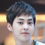 여성분들! 강아지상 vs <b>고양</b>이상