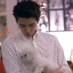 [EXO] <b>이</b> 강아G 비비랑 닮지 않았어? <b>눈</b>이 흐리흐리 한게