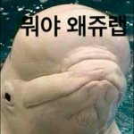 [10대의성] 어제 <b>지하</b>철역에서 개진상커플봄