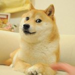 [댓글부탁해] 애들아 오늘 <b>새벽판</b> 짤파티 ㄱ?