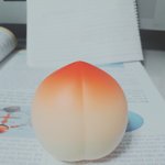[복숭아존좋] 다이소 가서 이거샀는데ㅎ