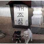 [재밌는사진] [펌] * <b>살벌</b>한 경고문 *