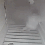 [EXO] <b>살해</b>당한 여자 남친만 안됐지뭐ㅋㅋㅋㅋ