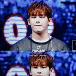 [인피니트] <b>호야</b> 갈색머리당