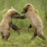 [세븐틴] 오늘 여기서 쇼1챔의 <b>위대</b>함을 느끼고 간다