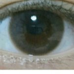 <b>써클</b> 골라봐ㅏㅏㅏ