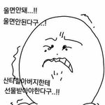 [세븐틴] 지방팬싸언제내려온뎅..