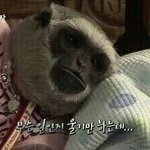 [드루와] 안경쓰면 얼굴 바뀐다는거 ㄹㅇ임?