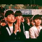 [세븐틴] 타팬인데 세븐틴 봤어요