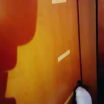 [EXO] 발로 <b>문연</b>건~  찬열