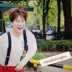 [방탄소년단] 다시보는 애ㄱ기지민