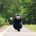 [방탄소년단] 떨려떨려