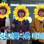 [NCT] 그렇게 모두 바보가 되었다...