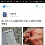 [EXO] ㄹㅇ패스1코드랑 이어지는거같기도