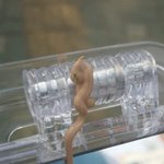 [도와줘] <b>BB크림</b>에서 벌레나왔어ㅅㅂㅠㅠㅜ(사진있음)