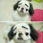 우리반 남자애가 친구 생리대꺼<b>냄</b>;