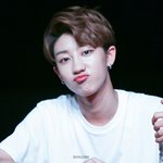 [세븐틴] 아 짜증나