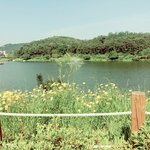 어제 먹거리 <b>포장</b>하는겸 공원 카페가서 할려고했거든 볼일도있고해서