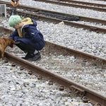 [댓글부탁해] 헐 남자아이돌 <b>동물</b>학대찍힘;;ㄷ극혐