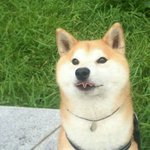 아이돌 <b>이미지</b>는 <b>팬</b>의 문제인듯
