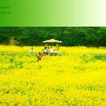 [EXO] 꽃밭에서 꽃들이 모여 살 고 <b>yo</b>  