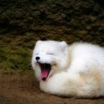 [댓글부탁해] 매직쿠션 <b>색상</b> 어떤편이야?????!!